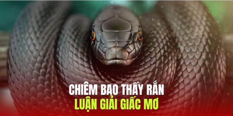 Chiêm bao thấy rắn và giải mã ý nghĩa chi tiết nhất