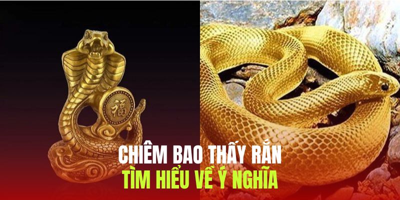 chiêm bao thấy rắn