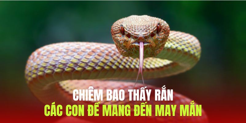 Những con lô mang đến may mắn khi chiêm bao thấy rắn